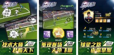 天梯娱乐官网,探索无限娱乐新体验